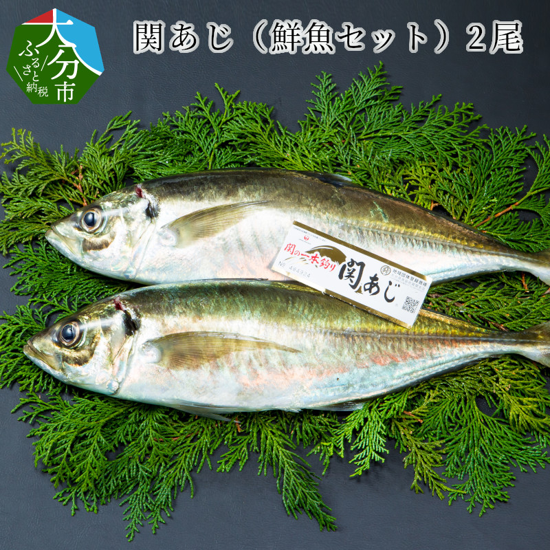 ふるさと納税 関あじ 鮮魚セット 2尾 約500g 2 ブランド魚 アジ 鯵 関アジ 新鮮 天然 生魚 国産 大分産 寿司 刺身 刺し身 海鮮丼 E 大分県大分市 Alltherightmovies Com