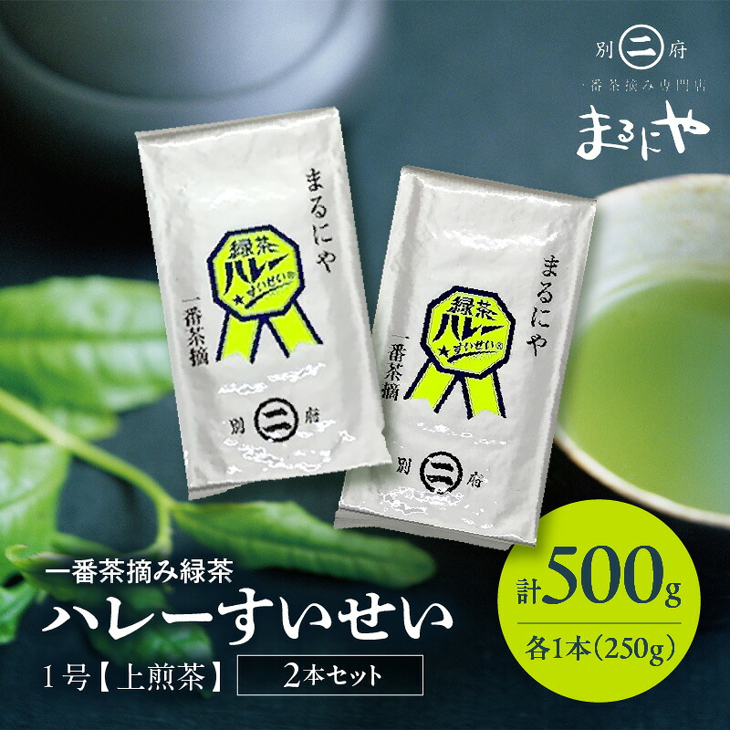 【ふるさと納税】一番茶摘み緑茶ハレーすいせい1号(上煎茶)250g 2本セット 飲料 飲み物 国産 食品 緑茶 茶葉 深蒸し グリーンティー グリーン茶 ティータイム 濃厚 旨み おもてなし お茶会 人気 おすすめ ギフト 贈り物 贈答 プレゼント お取り寄せ グルメ 別府市 送料無料|大分県別府市