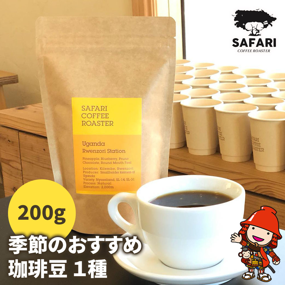 【ふるさと納税】季節のおすすめ 珈琲豆 1種 (200g) | 珈琲 コーヒー 自家焙煎 コーヒー豆 季節 季節のコーヒー おうちカフェ 豆 大分県産 国産 大分県 中津市