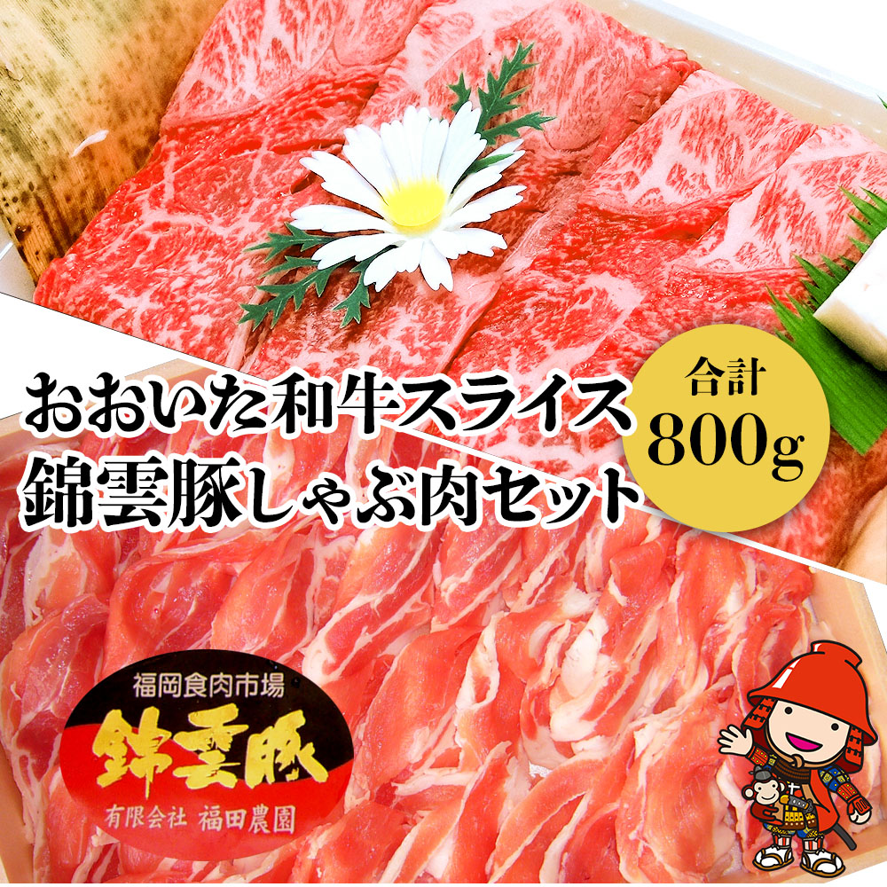 【ふるさと納税】おおいた和牛 錦雲豚 しゃぶしゃぶ セット 合計800g ＜牛スライス肉(400g) 豚バラ肉(200g) 豚ロース肉(200g) セット＞ 詰め合わせ | おおいた豊後牛 黒毛和牛 牛肉 冷凍 豚肉 九州産 国産 送料無料