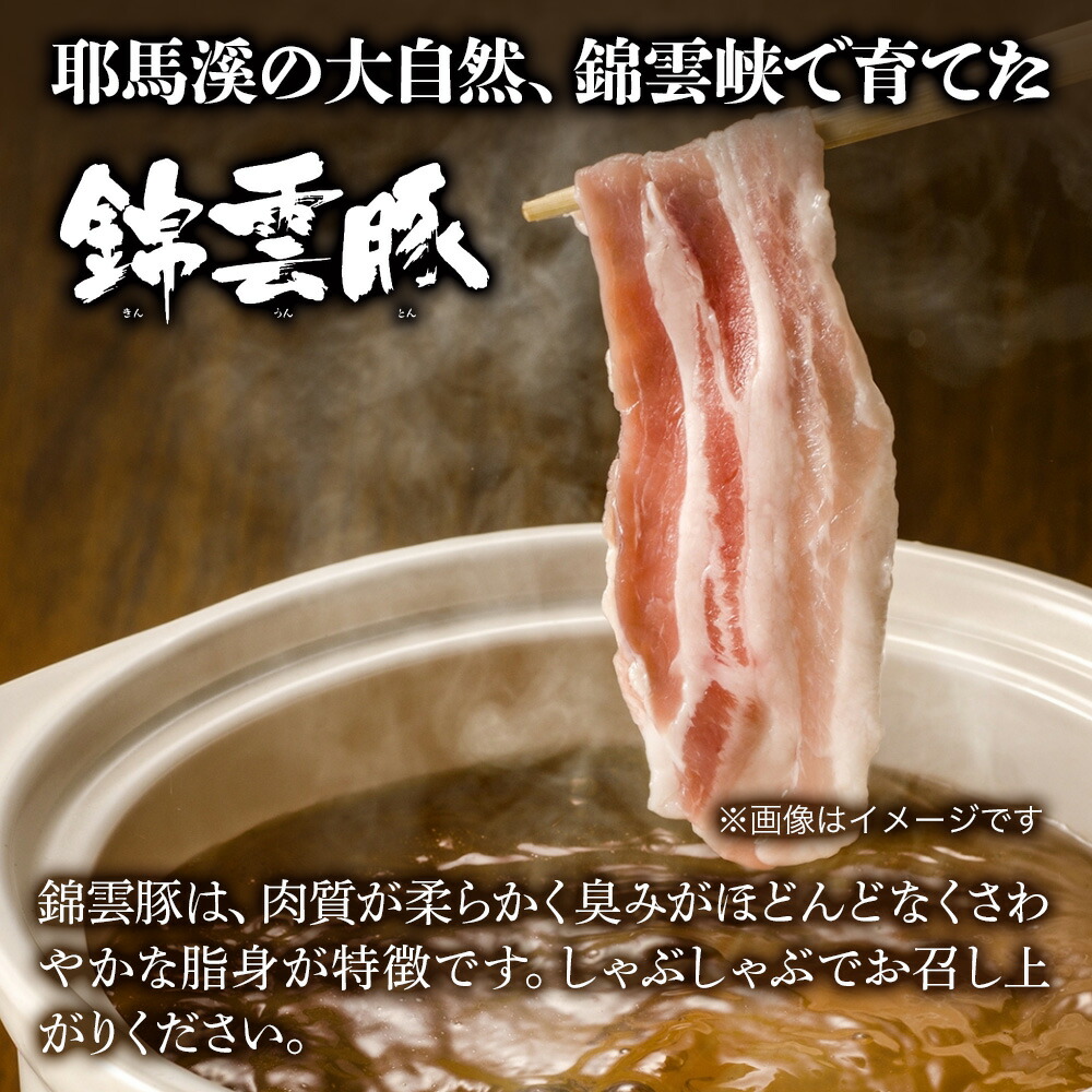 訳あり品送料無料 豊後牛 錦雲豚 しゃぶしゃぶ セット 合計800g 牛スライス肉 400g 豚バラ肉 200g 豚ロース肉 詰め合わせ  おおいた豊後牛 黒毛和牛 牛肉 冷凍 豚肉 九州産 国産 送料無料 熨斗対応可 お歳暮 お中元 など fucoa.cl