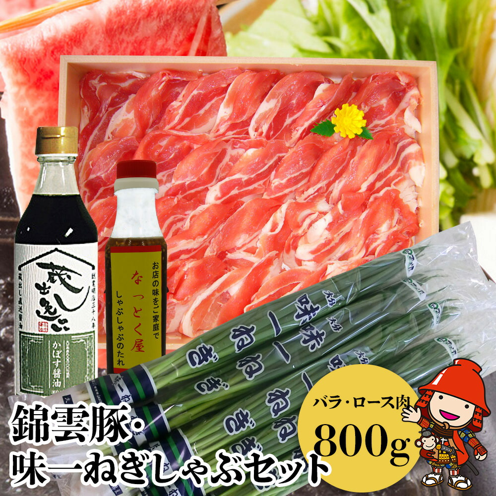 【ふるさと納税】錦雲豚 味一ねぎ しゃぶしゃぶ セット | 【冷蔵便】 豚バラ肉・ロース肉(800g) 小ねぎ 万能ねぎ 青ねぎ かぼすポン酢しょうゆ 詰め合わせ 九州産 国産 送料無料