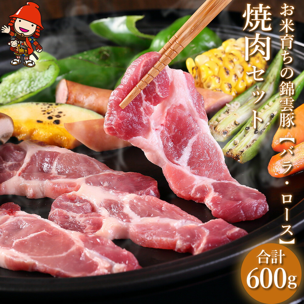 お米育ちの錦雲豚 焼肉ギフト セット 合計600g(ロース300g・バラ300g) ブランド豚 九州産 大分県産 国産 冷凍 送料無料