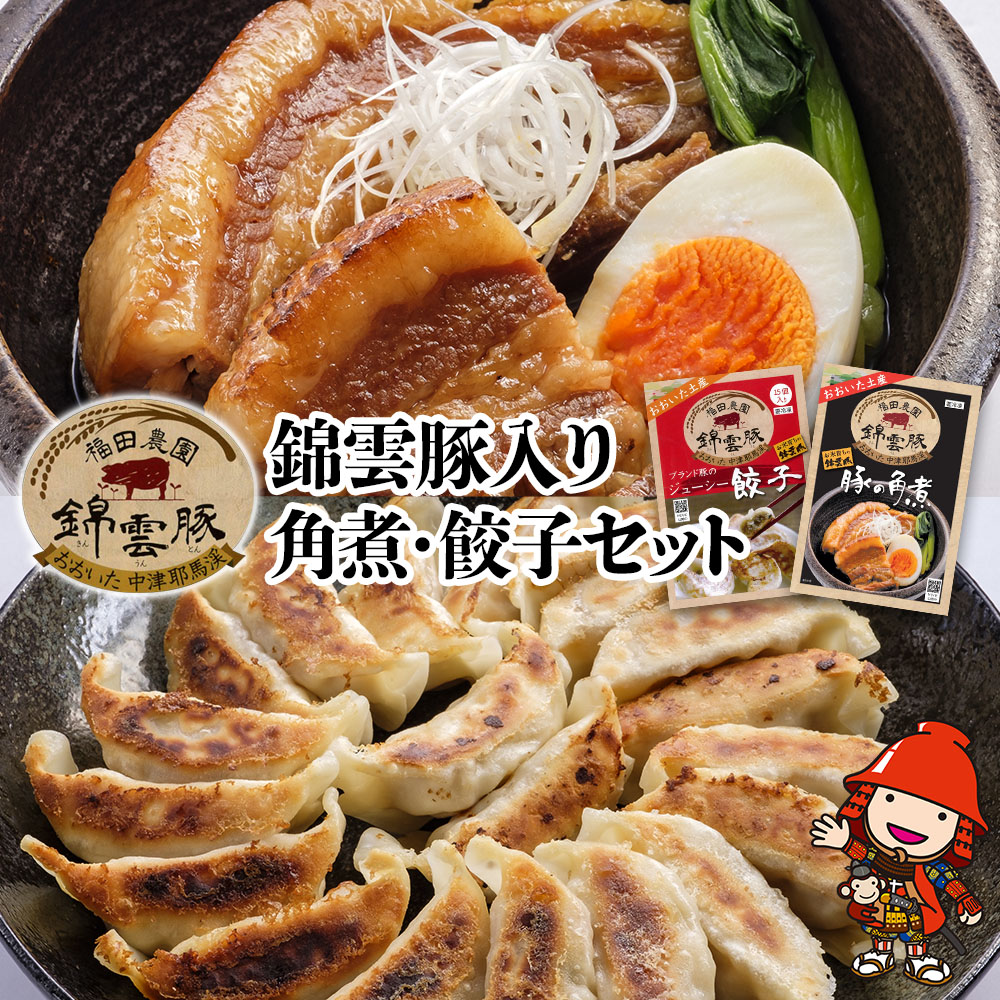 【ふるさと納税】錦雲豚 角煮250g×2 餃子15個入り×2(たれ付き) | 冷凍食品 肉餃子 惣菜 冷凍おかず 冷凍餃子 豚の角煮 大分県産 九州産 中津市 国産 送料無料|大分県中津市