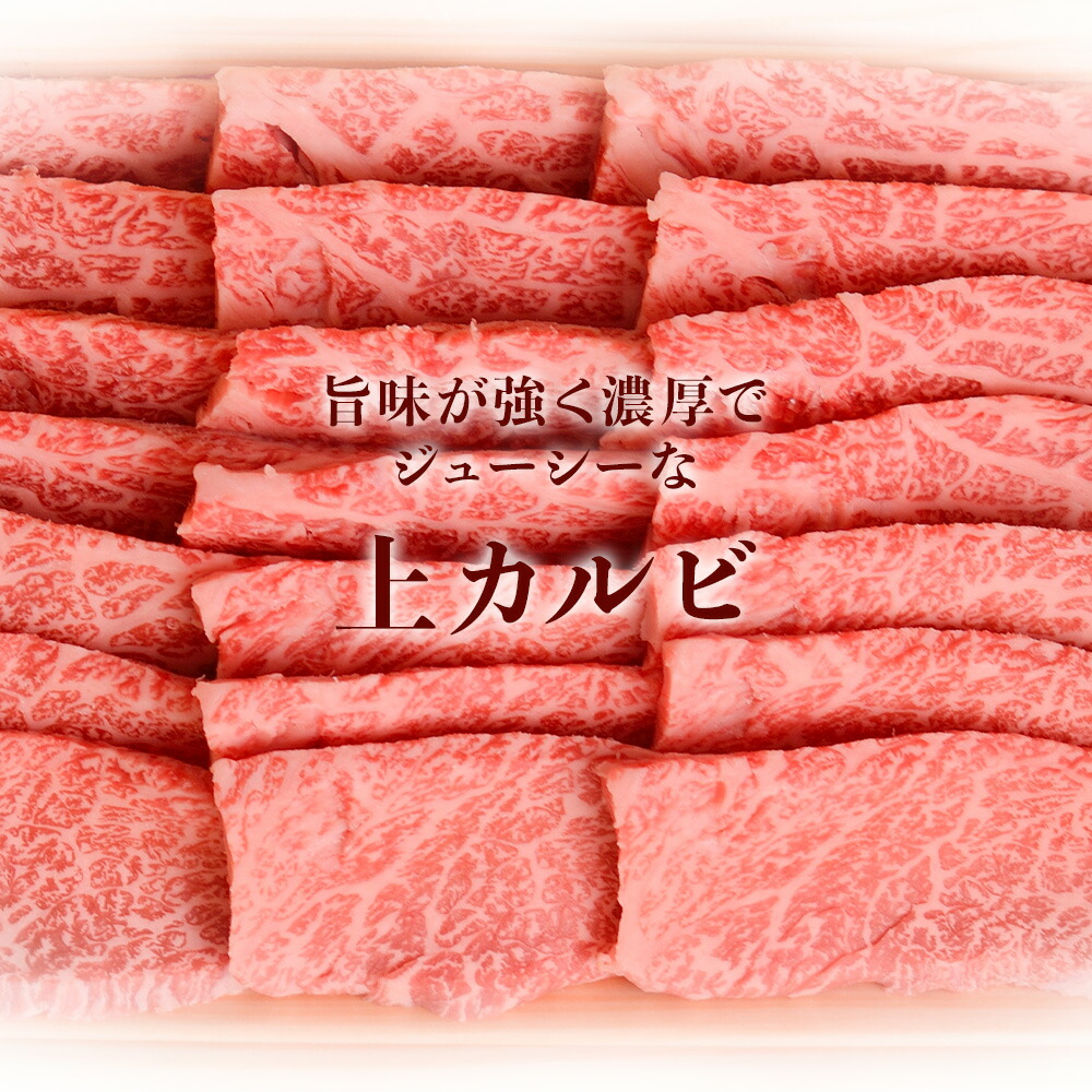 【ふるさと納税】おおいた和牛食べ比べセット(上カルビ&上ロース)【合計600g】小分け中津市大分県産九州産国産冷凍送料無料