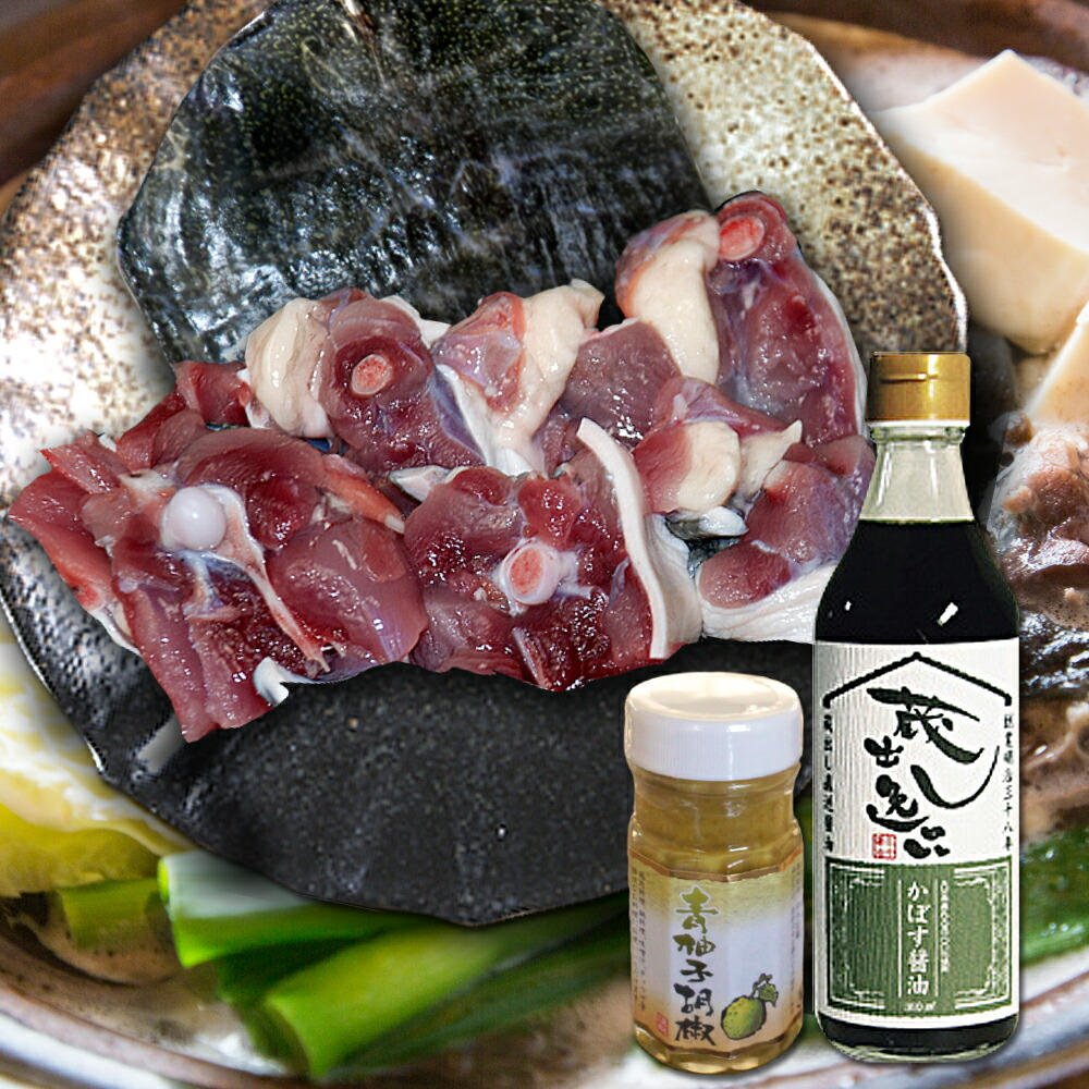 【ふるさと納税】 耶馬溪すっぽん鍋セット 生肉 柚子ごしょう かぼすポン酢 すっぽん料理 | スッポン スッポン鍋 大分県産 九州産 中津市 国産 送料無料