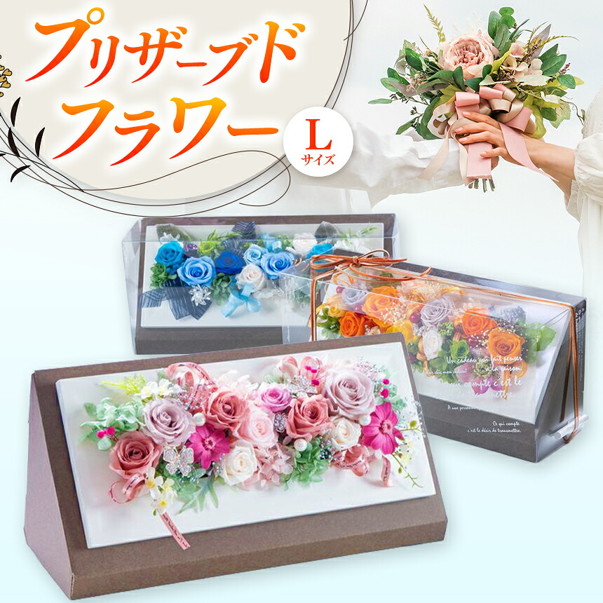 【ふるさと納税】バラの花 プリザーブドフラワー Lサイズ W10.5cm*D34cm*H15cm 【数量限定】 | ドライフラワー バラ 薔薇 花 お花 フラワー 母の日 インテリア おしゃれ オシャレ プレゼント ギフト 贈答 贈り物 花結び 大分県 中津市 送料無料