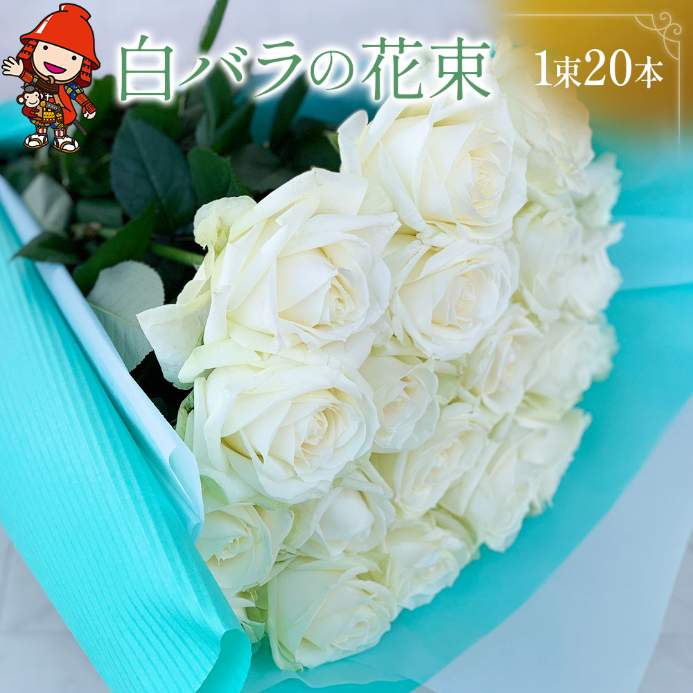 91%OFF!】 バラの花束 白 1束 20本 薔薇 生花 花 ブーケ 誕生日 結婚式 サプライズ 結婚記念日 歓送迎 退職 開店祝い 結婚祝い ギフト  プレゼント お返し 送料無料 fucoa.cl