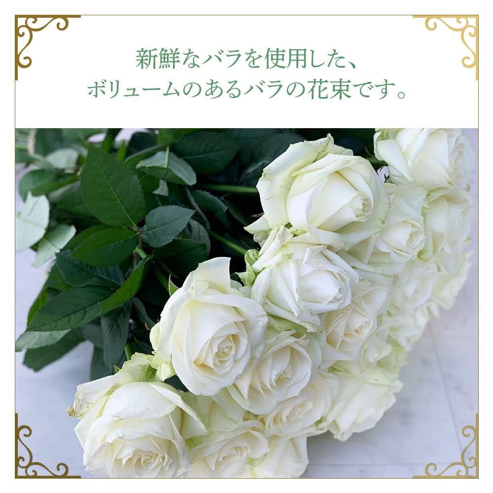 購買 バラの花束 白 1束 本 薔薇 生花 花 ブーケ 誕生日 結婚式 サプライズ 結婚記念日 歓送迎 退職 開店祝い 結婚祝い ギフト プレゼント お返し 送料無料 Fucoa Cl