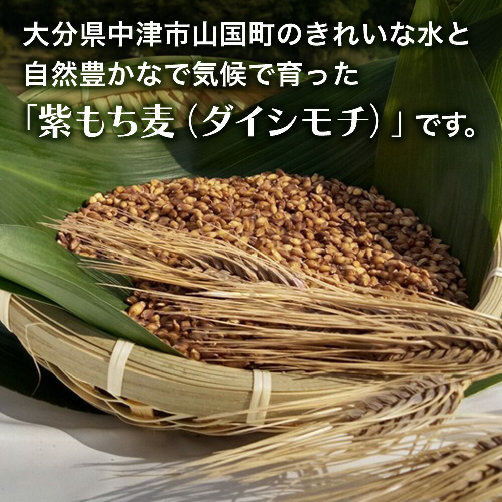 市場 ふるさと納税 大分県中津 ダイシモチ 300g×2袋 もち麦 国産 紫もち麦