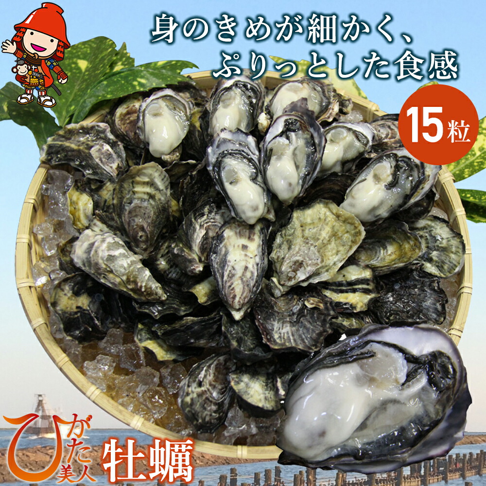 【ふるさと納税】【先行予約】中津ひがた美人 (牡蠣 15粒) 養殖 | 冷蔵 かき オイスター 酒の肴 つまみ おかず 大分県産 九州産 中津市 国産 送料無料 ＜発送期間：令和7年12月～令和8年4月末までの予定＞