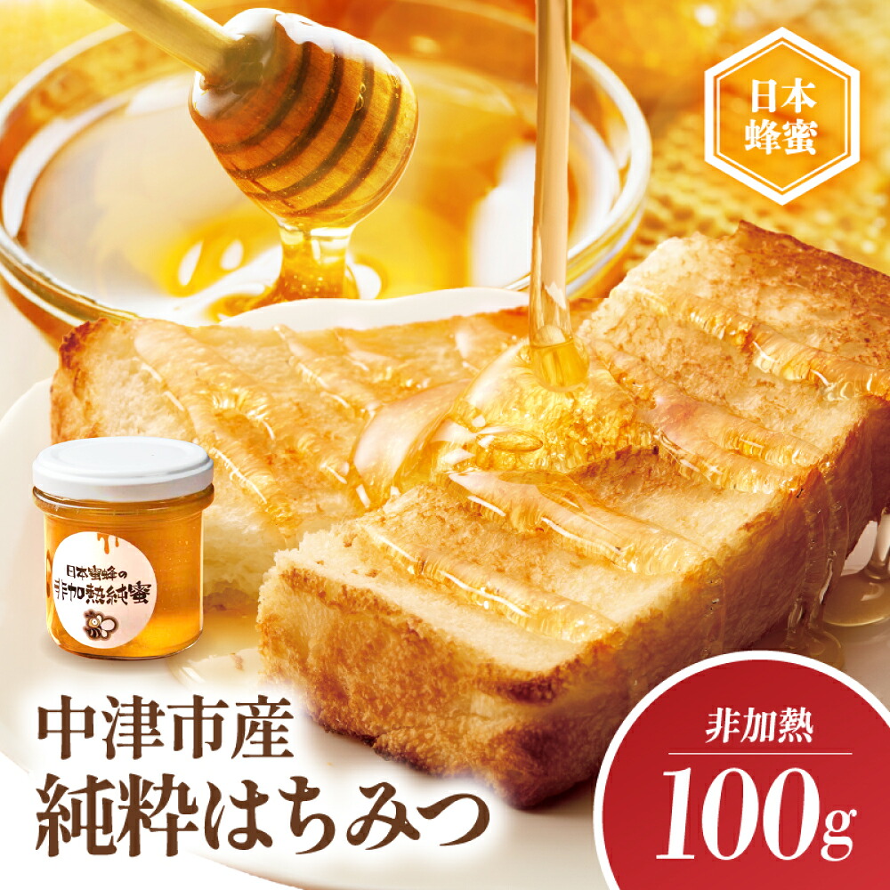 【ふるさと納税】中津市産 日本蜜蜂の非加熱純蜜 100g | 国産 日本 蜂蜜 非加熱 はちみつ ハチミツ 大分県 中津市