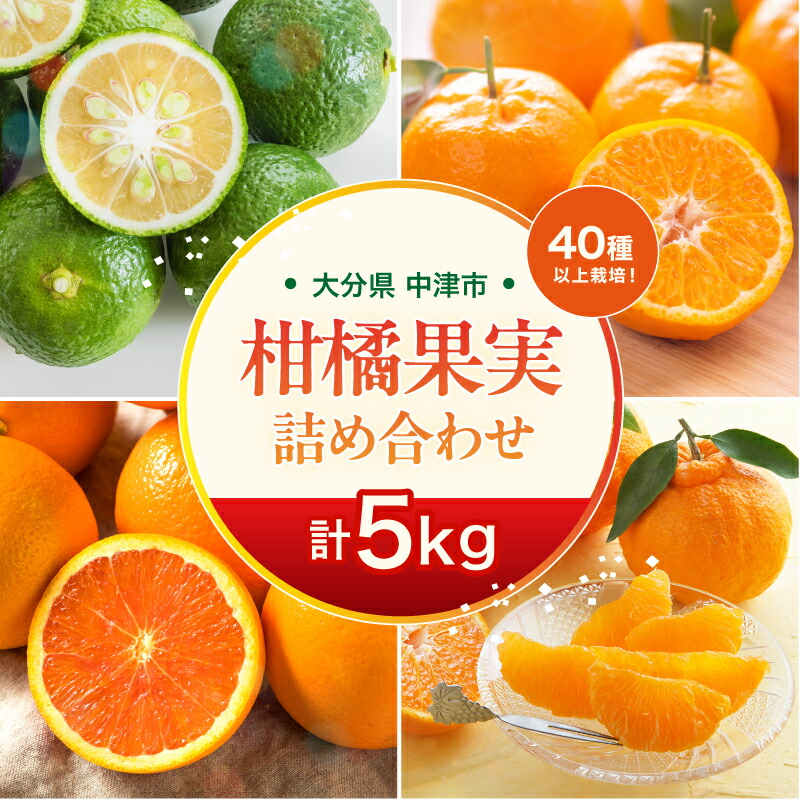 楽天市場】【ふるさと納税】＜旬をお届け！季節の柑橘詰合せ 2回定期便