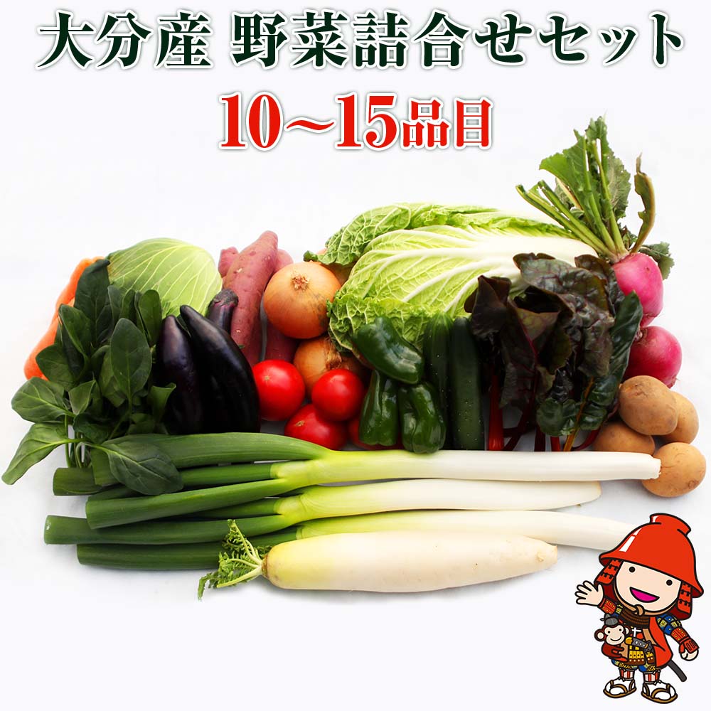 【ふるさと納税】九州野菜セット 大分県中津 春夏秋冬野菜セット10～15品 | JA直売所直送野菜 新鮮 トマト ホウレンソウ 小松菜 水菜 チンゲン菜 ネギ キャベツ