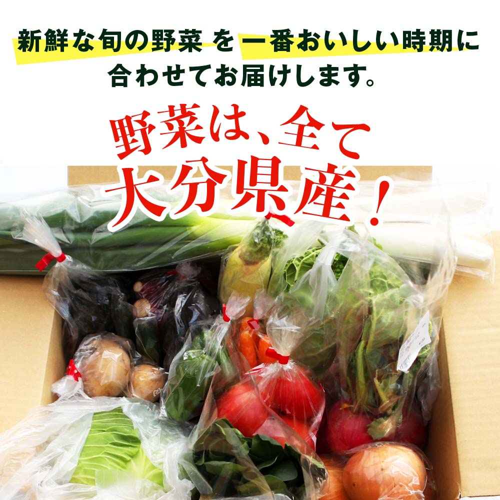 見事な 九州野菜セット 大分県 春夏秋冬野菜セット10 15品 6回 毎月1回 Ja直売所直送野菜 新鮮 産地直送 送料無料 Fucoa Cl