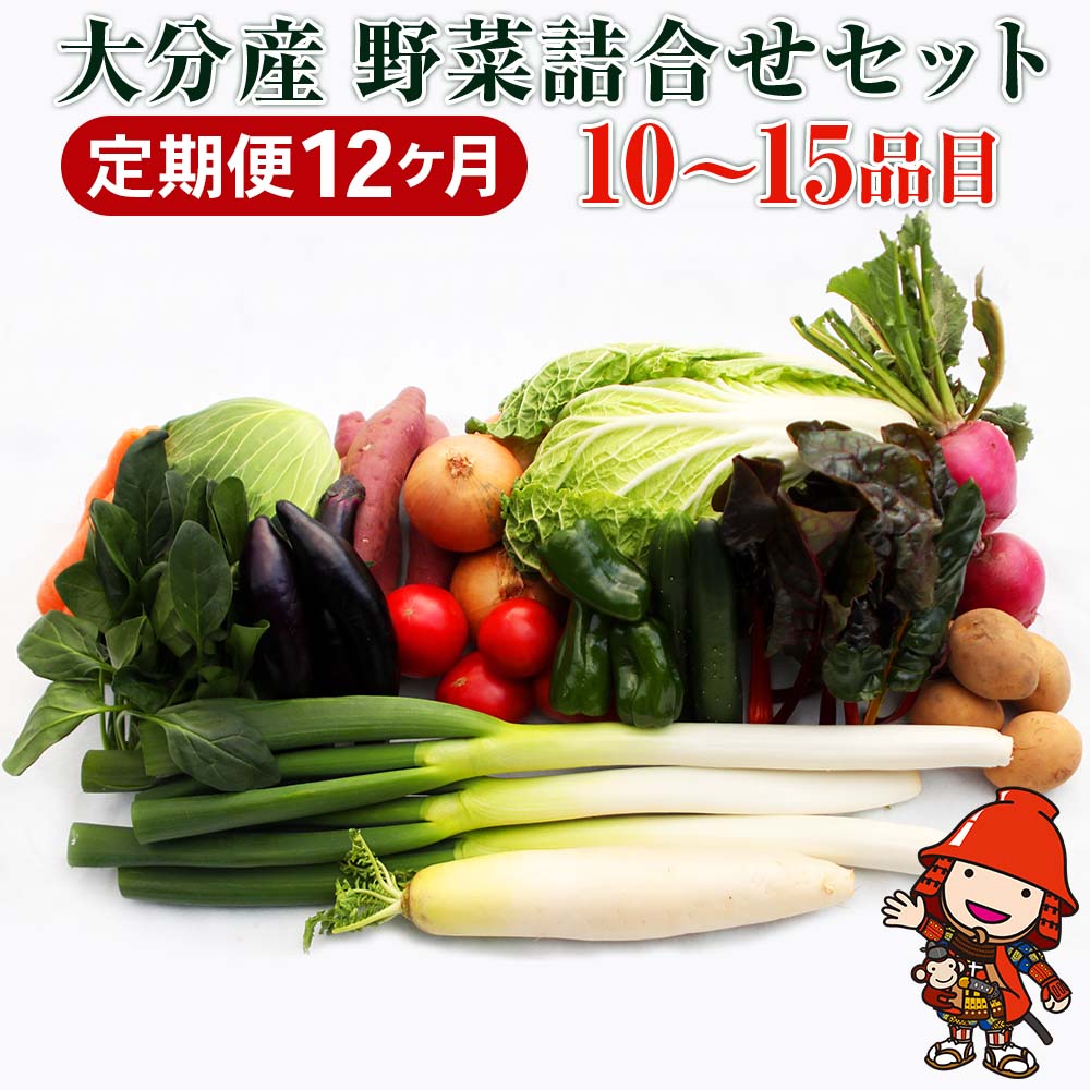 【ふるさと納税】【12ヶ月定期便】九州野菜セット 大分県産 春夏秋冬野菜セット10～15品×12回 毎月1回 | JA直売所直送野菜 新鮮 産地直送 送料無料