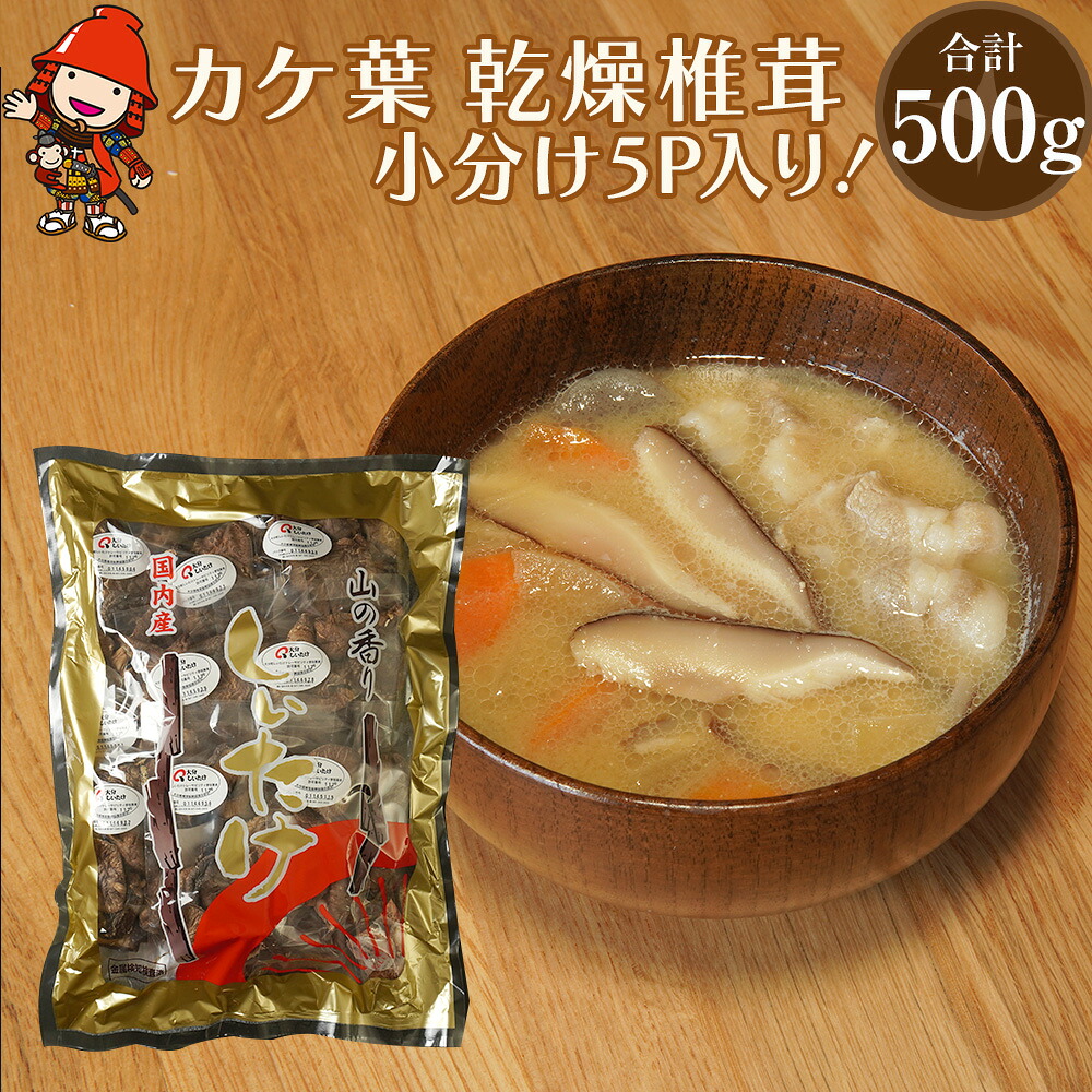 【ふるさと納税】乾燥椎茸 カケ葉 椎茸 100g×5パック | 乾しいたけ 干し椎茸 干ししいたけ 乾燥しいたけ 干しシイタケ 原木 大分県産 九州産 中津市 国産 送料無料|大分県中津市