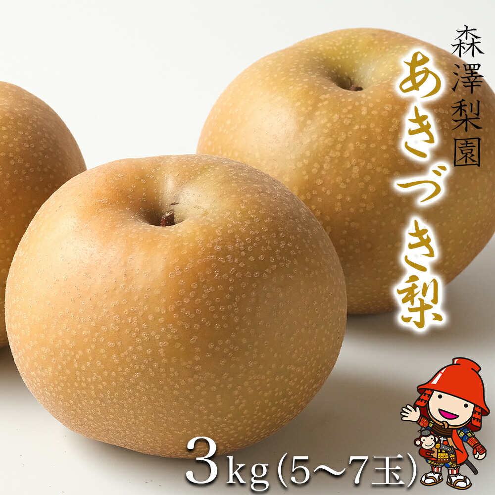 【ふるさと納税】【先行予約】【数量限定】山国町のあきづき梨 約3kg | フルーツ 果物 くだもの 梨 ナシ なし あきづき あきづき梨 和梨 3kg 3キロ 完熟 国産 産地直送 山国梨棚 森澤梨園 大分県産 大分県 中津市 送料無料【発送は2025年9月10日～10月7日までまでの予定】