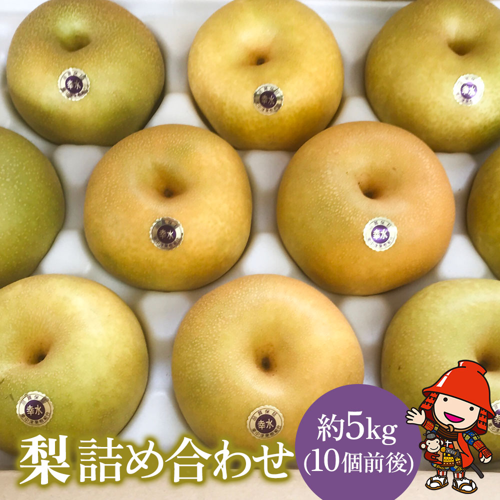 【ふるさと納税】【先行予約】糖度計使用 梨詰め合わせ 5kg (約10個前後) | なし 幸水 豊水 菊水 フルーツ くだもの ギフト プレゼント 贈答品 大分県産 九州産 中津市 国産 送料無料【発送は2025年8月5日～2025年10月20日までの予定】