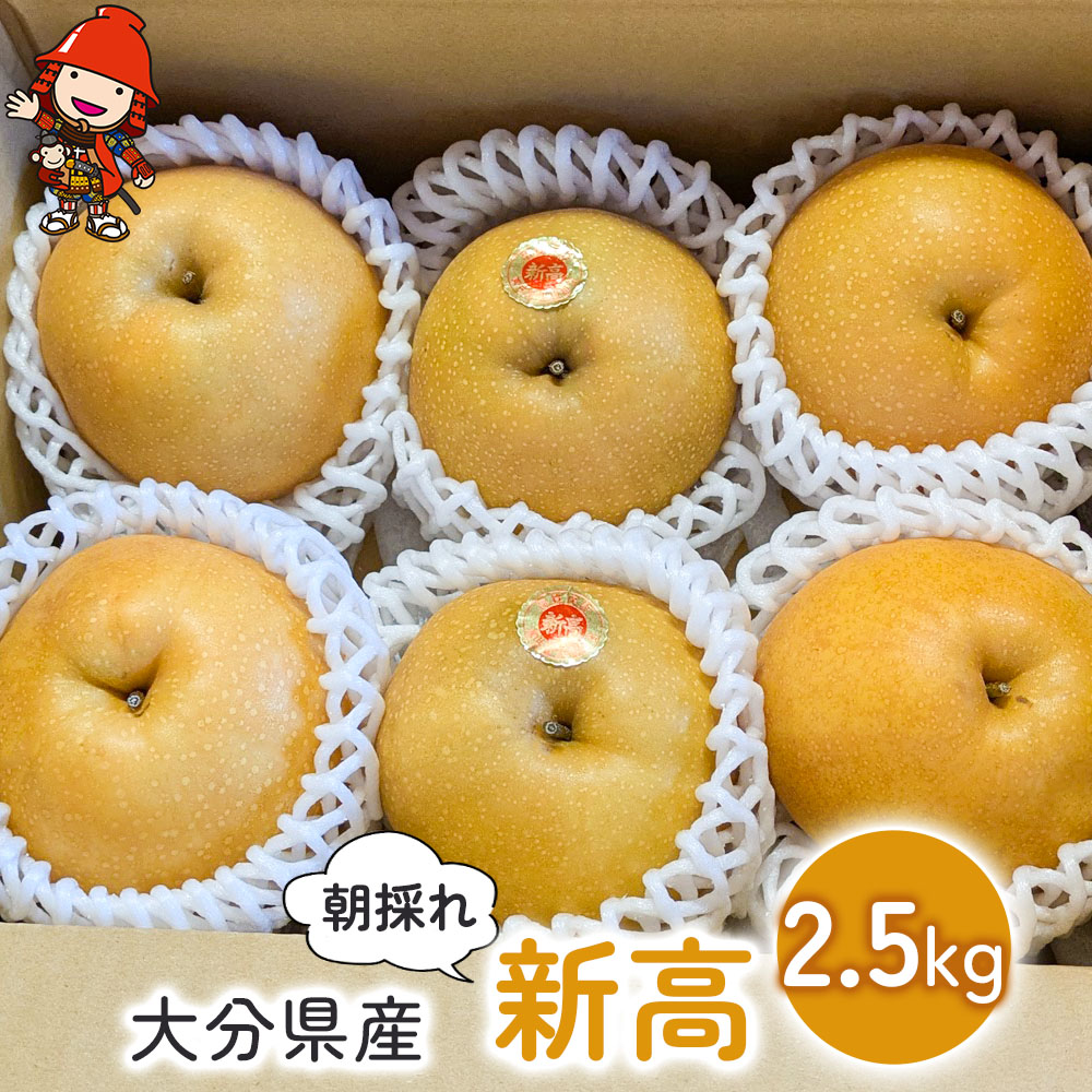 【ふるさと納税】大分県産 新高 約2.5kg (6個～7個) | いわき農園 梨 なし 新鮮 産地直送 数量限定 果物 くだもの フルーツ ギフト 大分県産 九州産 大分県 中津市 送料無料【発送は2025年9月中旬～2025年9月末までの予定】