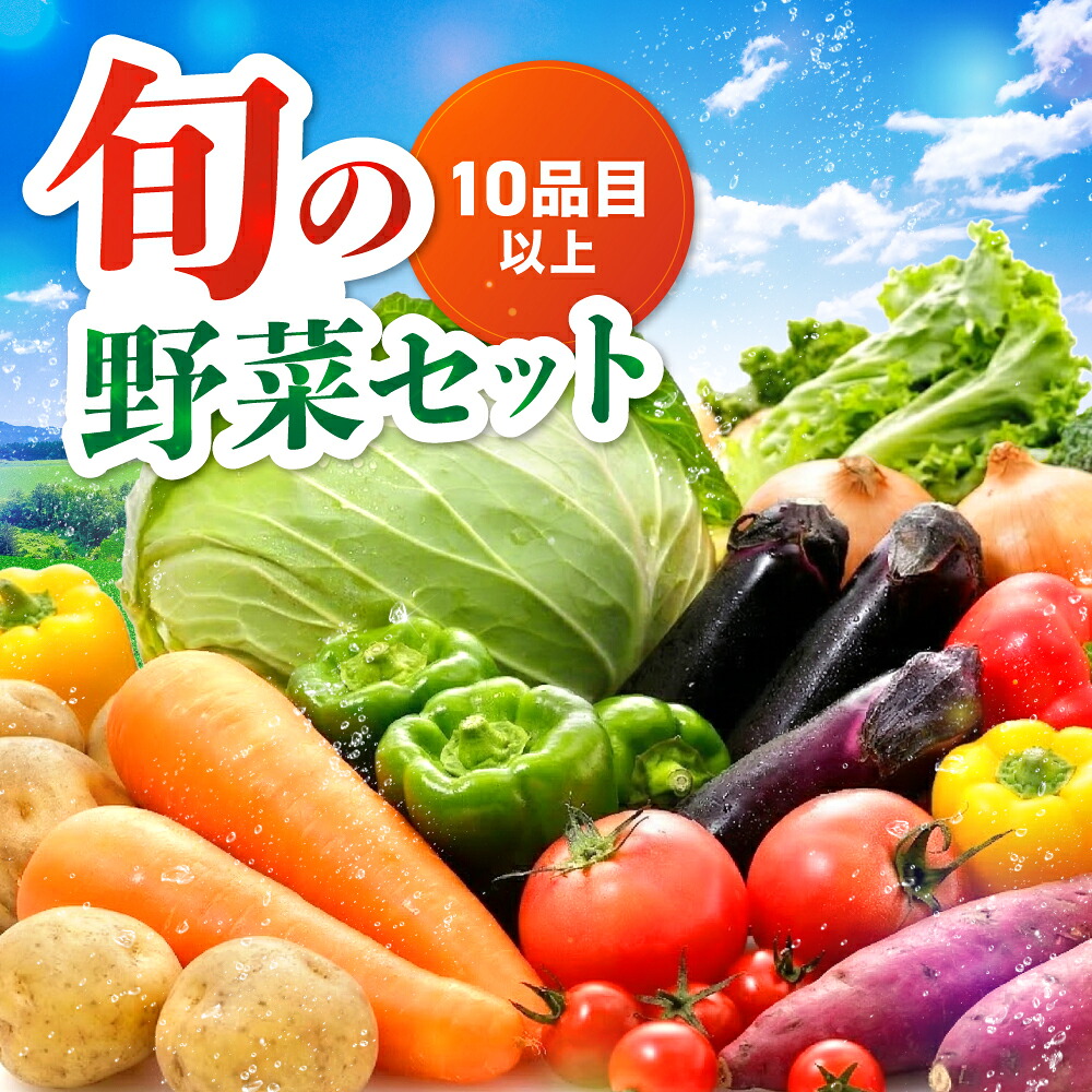 【ふるさと納税】九州野菜セット 大分県中津 春夏秋冬野菜セット10～15品 | JA直売所直送野菜 新鮮 トマト ホウレンソウ 小松菜 水菜 チンゲン菜 ネギ キャベツ