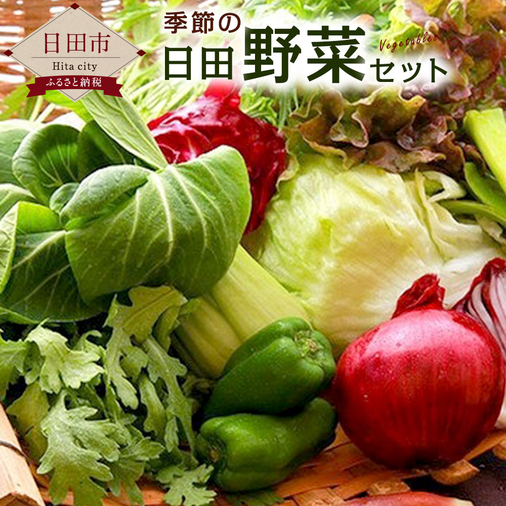 【ふるさと納税】季節の日田野菜セット 1箱 大分産 詰め合わせ　送料無料