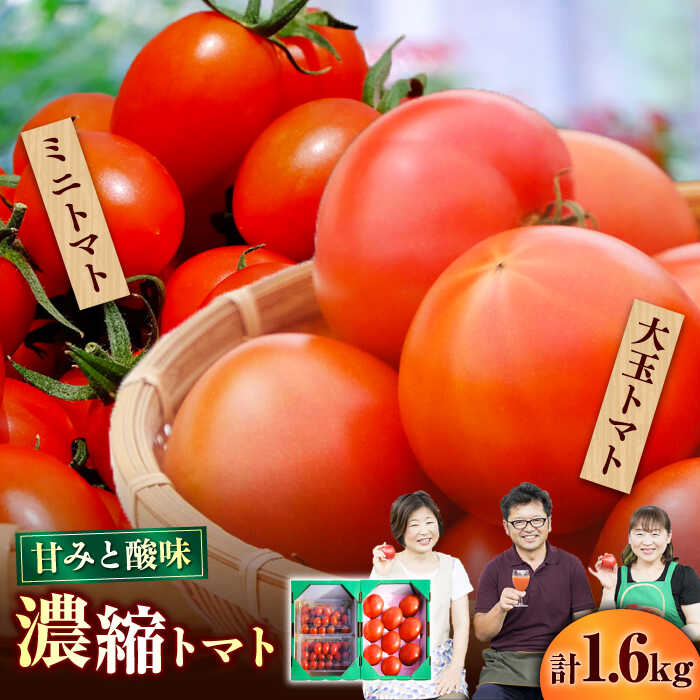 【ふるさと納税】日田の濃縮トマト 2箱 計1.6kg 日田市 / 有限会社マルカ農園（トマトファーム）とまと 完熟トマト 野菜 大玉トマト [ARAH001]