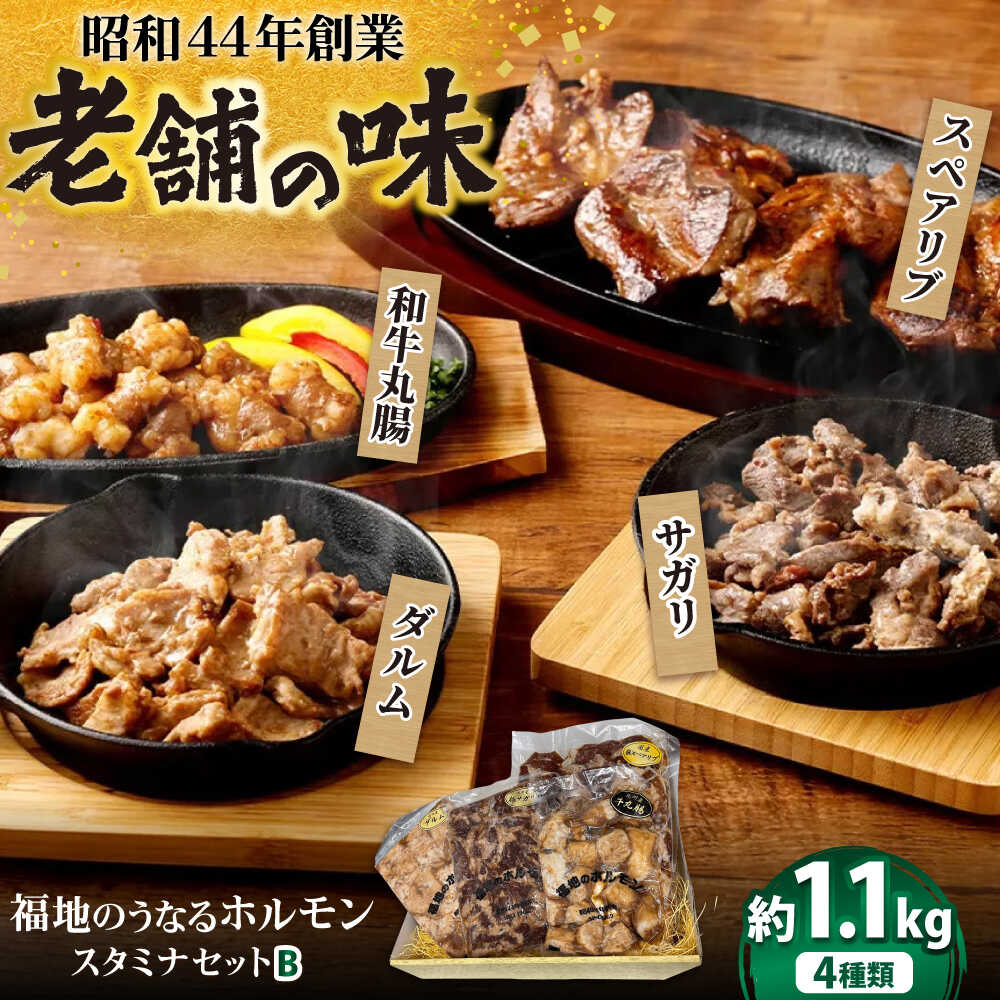 【ふるさと納税】スタミナセットB 4種類　（豚スペアリブ・和牛丸腸・豚サガリ・豚ダルム）計1,130g 日田市 / 福地のうなるホルモン スペアリブ 和牛 丸腸 サガリ ダルム 豚[ARAY002]｜大分県日田市