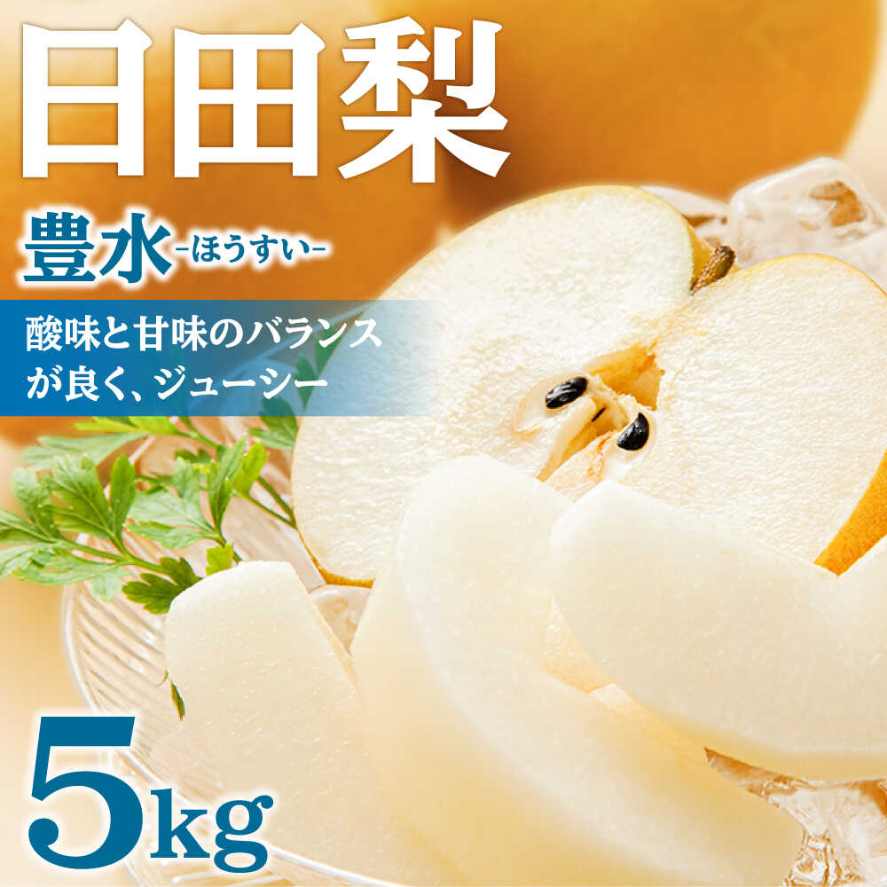 【ふるさと納税】【先行予約・25年8月以降発送】日田梨 豊水 5kg 日田市 / 日田梨協同組合　なし 梨 日田 和梨 果物 くだもの 果汁 フルーツ デザート 旬 豊水 [ARBB002]