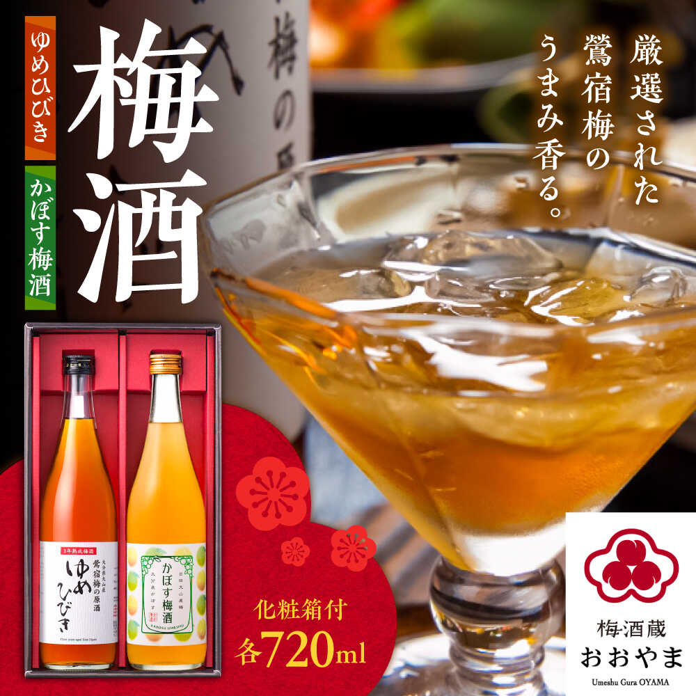 【ふるさと納税】梅酒蔵おおやま 梅酒セット(梅酒・かぼす梅酒) 各720ml　日田市 / 株式会社おおやま夢工房 梅酒 梅 ウメ[ARCW013]
