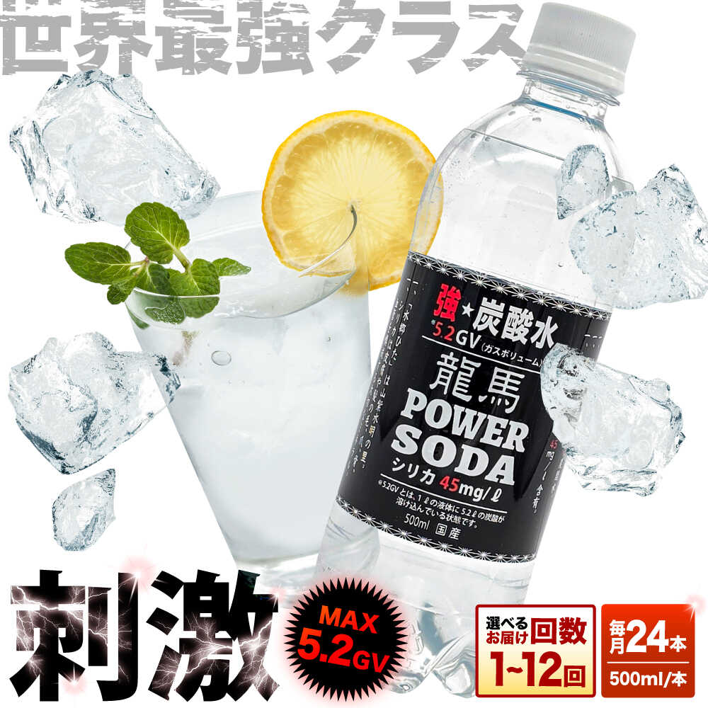 【ふるさと納税】【選べる回数】龍馬POWER SODA 500ml×24本 日田市 / 日本ビール株式会社 炭酸水 水 飲料水 みず[ARER001-012]