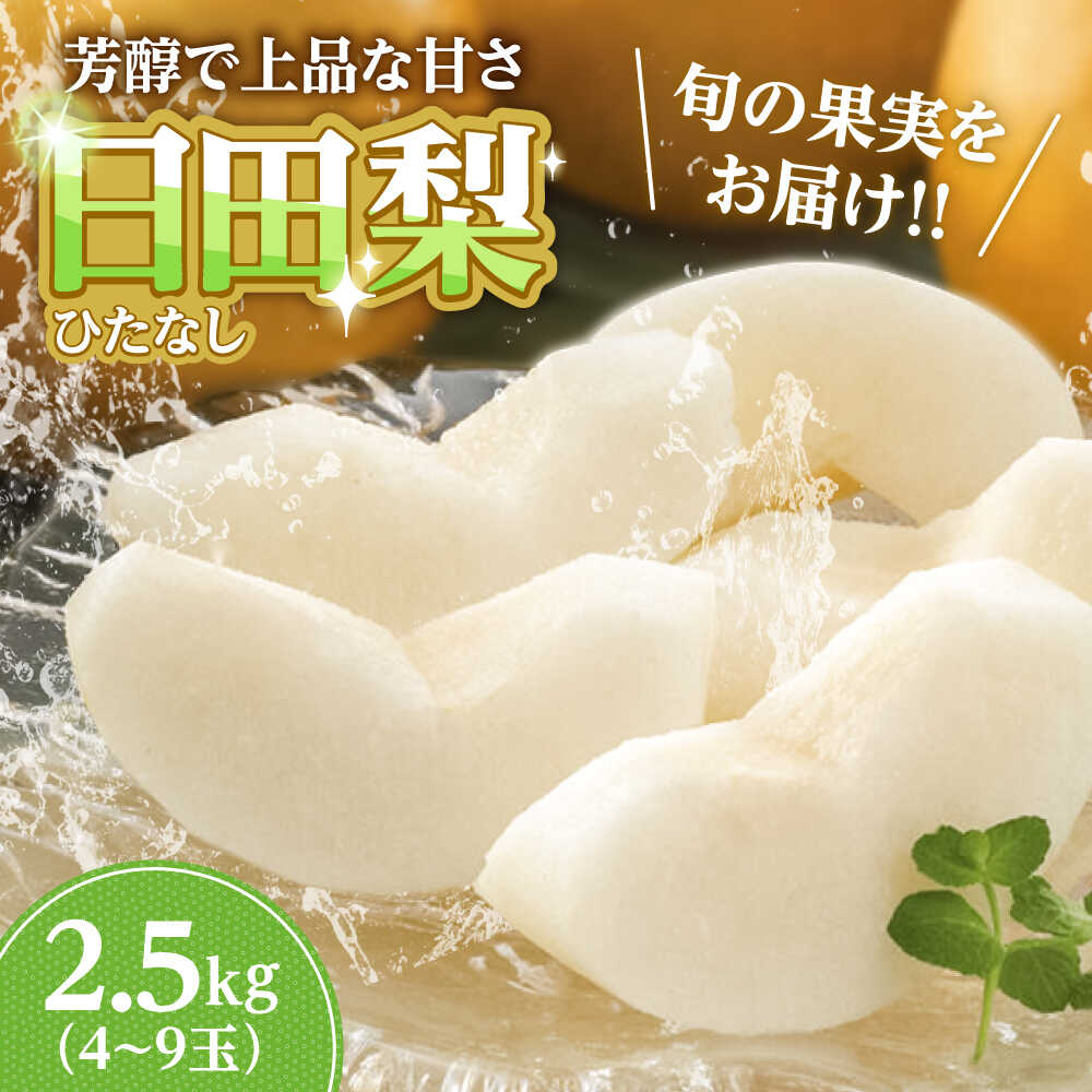 【ふるさと納税】【先行予約・25年7月以降発送】 旬の日田梨お届け便 約2.5kg(幸水、豊水、秋月、新高、新興) 　日田市 / 南国フルーツ株式会社 なし 梨 果物 フルーツ[ARET007]