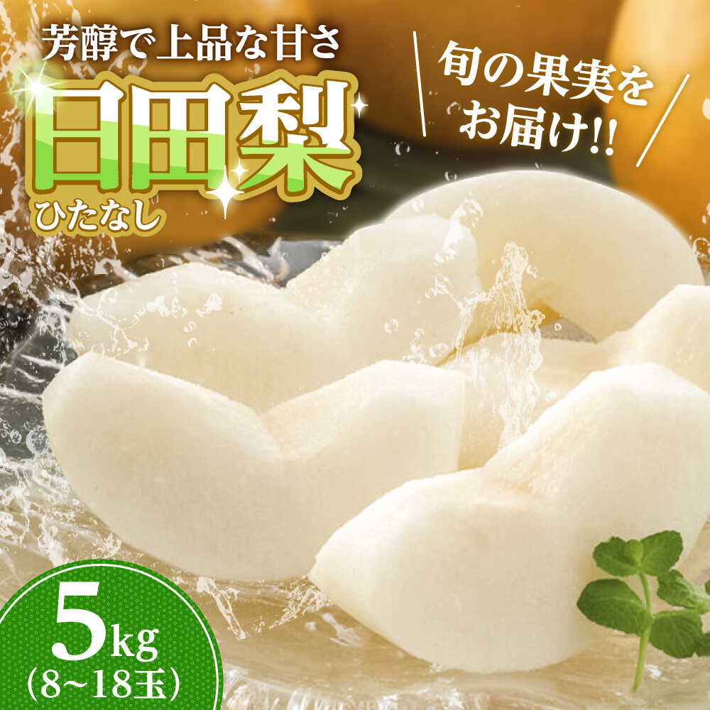 【ふるさと納税】【先行予約・25年7月以降発送】 旬の日田梨お届け便 約5kg(幸水、豊水、秋月、新高、新興)　日田市 / 南国フルーツ株式会社 なし 梨 果物 フルーツ[ARET008]