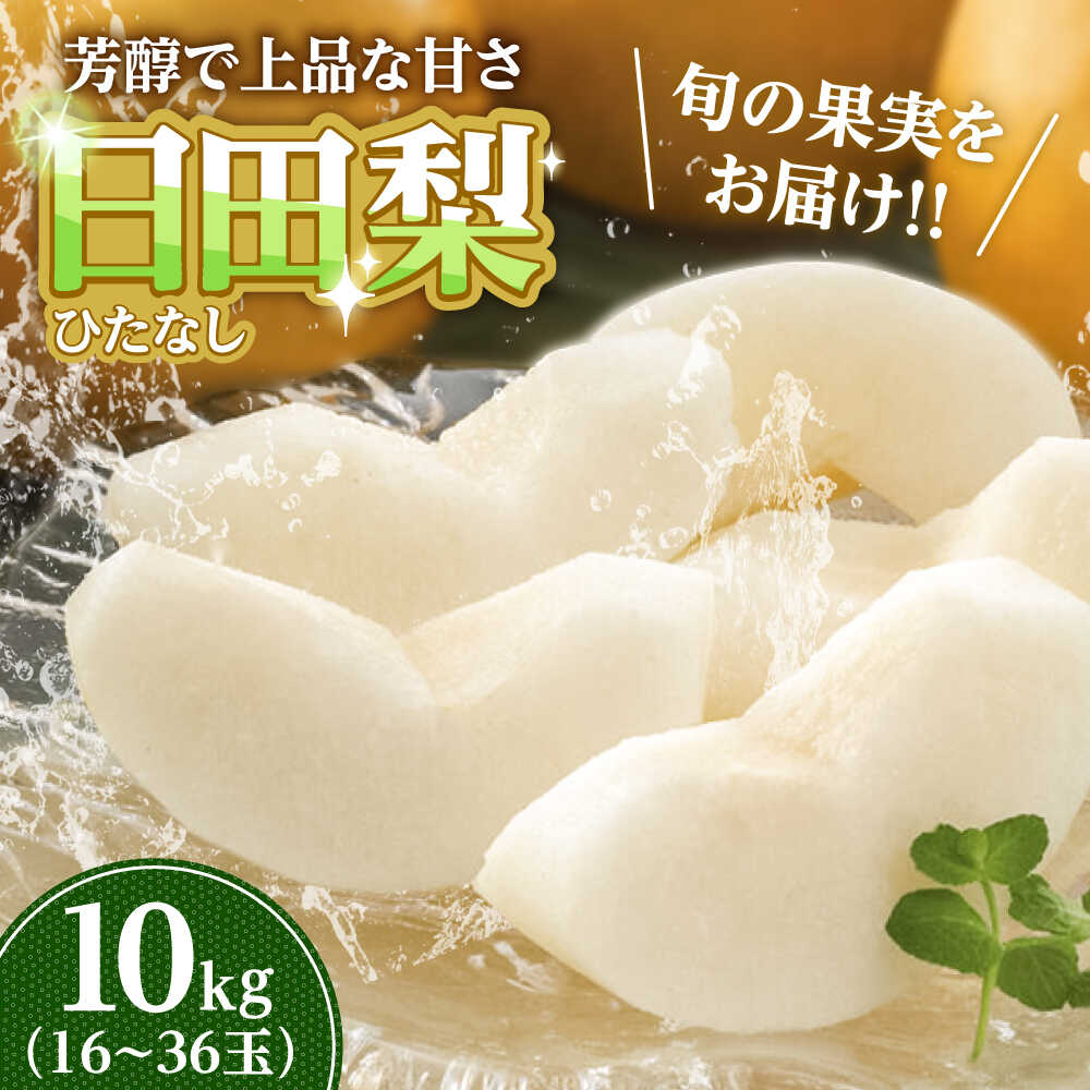 【ふるさと納税】【先行予約・25年7月以降発送】 旬の日田梨お届け便 約10kg(幸水、豊水、秋月、新高、新興)　日田市 / 南国フルーツ株式会社 なし 梨 果物 フルーツ[ARET009]