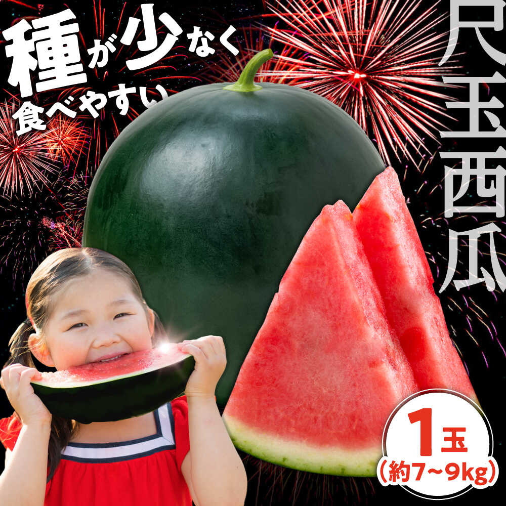 【ふるさと納税】【先行予約・7月以降発送】尺玉西瓜 1玉（約7kg～9kg） 日田市 / JAおおいた すいか スイカ 果物[AREW001]