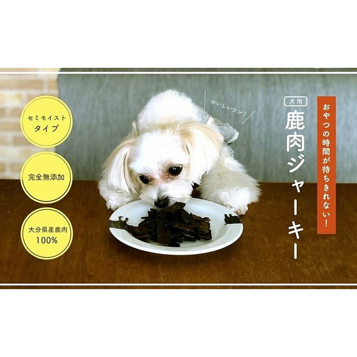 城下堂 さいき本舗 佐伯市 おやつ ふるさと納税 ジャーキー ふるさと納税 ワンちゃんに大人気 完全無添加 鹿肉ジャーキー 大分県佐伯市