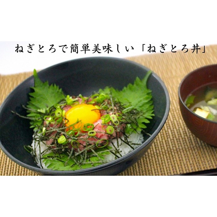 ふるさと納税 大人気 お手軽マグロづくし 本マグロ切り落とし ねぎとろセット Brocamarketing Com