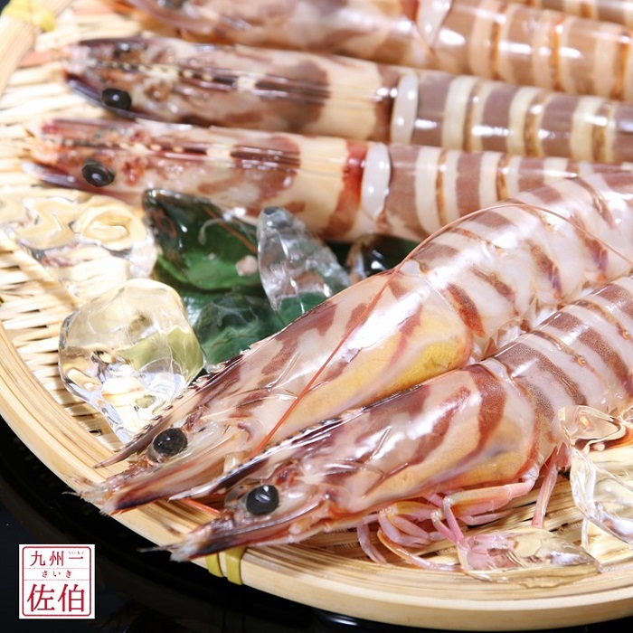 日本産 活き〆急速冷凍天然車エビ 大分県佐伯産 300ｇ 3袋 生食用 大分県佐伯市 残りわずか Vancouverfamilymagazine Com