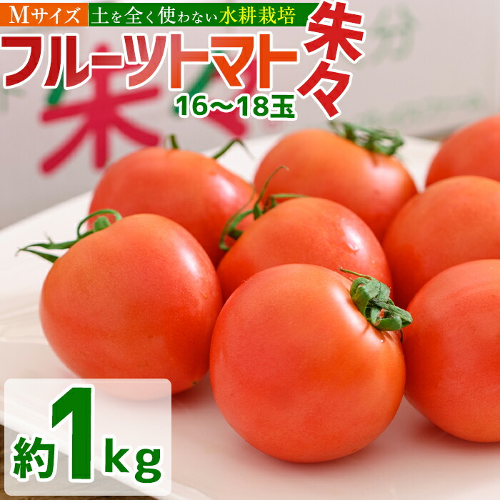 【ふるさと納税】フルーツトマト 朱朱 Mサイズ (計1kg・16-18玉) M 高糖度 糖度 フルーツトマト トマト 野菜 サラダ 大分県 佐伯市 九州産 国産 大分県 佐伯市【CH63】【(株)サニープレイス】