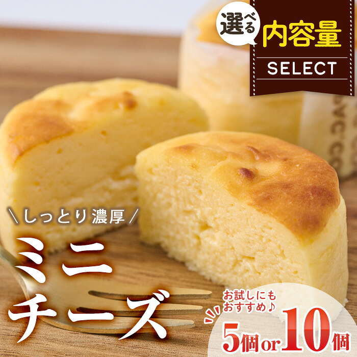 【ふるさと納税】＜内容量が選べる！＞濃厚ミニチーズケーキ (計5個・計10個) チーズケーキ チーズ スイーツ 冷凍 お菓子 おやつ 焼き菓子 お取り寄せ 大分県 佐伯市【AJ74・AJ87】【(有)ケーキ大使館クアンカ・ドーネ】