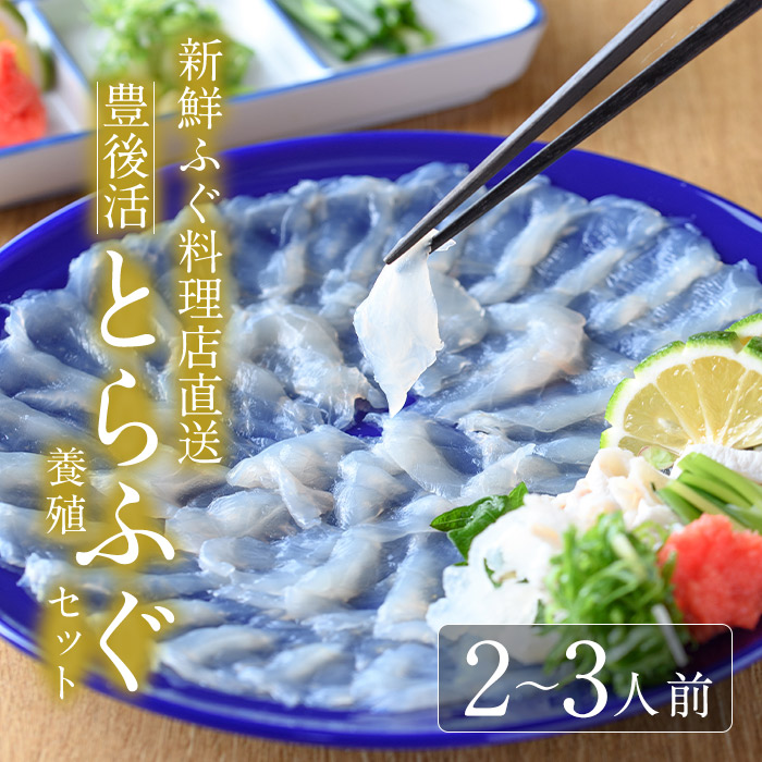 【ふるさと納税】＜着日指定必須＞新鮮ふぐ料理店直送　「豊後活とらふぐセット　養殖2-3人前」とらふぐ ふぐ フグ あら ふぐ刺し フグ刺し ふぐ刺身 フグ刺身 刺身 鮮魚 冷蔵 国産 大分県 佐伯市【HD75】【さいき本舗 城下堂】｜大分県佐伯市