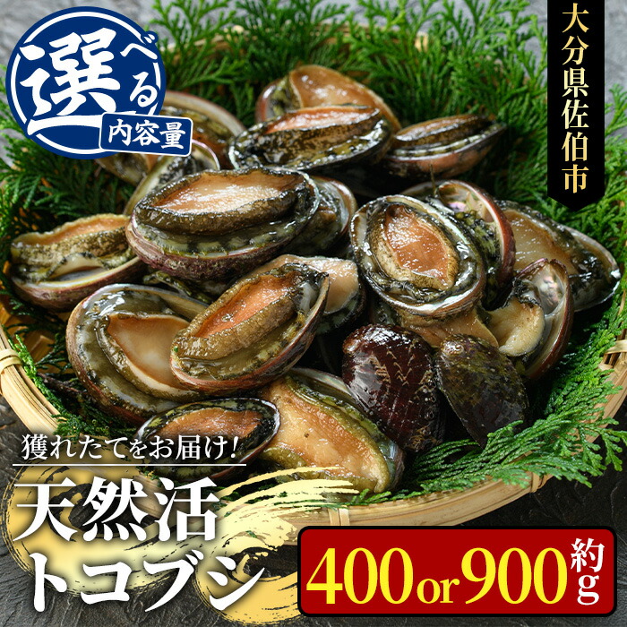 【ふるさと納税】＜内容量が選べる＞天然 トコブシ (約400g・約900g) 鮮魚 魚介 貝 トコブシ とこぶし 酒蒸し 網焼き バター焼き バーベキュー 獲れたて 冷蔵 海の直売所 大分県 佐伯市  魚貝 殻付【AS107・AS82】【海べ (株)】
