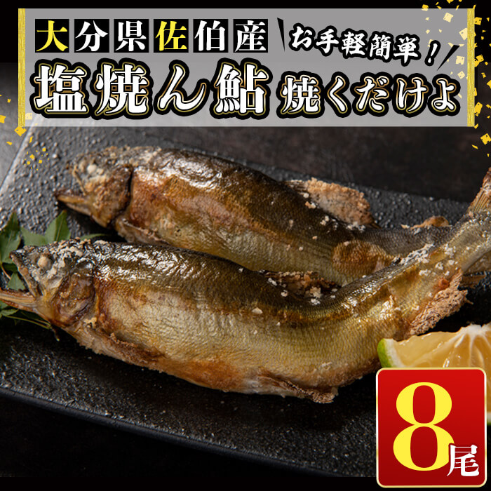 ふるさと納税 アユ グリルかフライパンで焼くだけ 塩焼き用あゆ8尾 特殊な製法でほどよく水分をとり 天然塩で味付け 佐伯市 焼くだけよ Ssy 8 食品 株式会社錦幸園 塩焼ん鮎 その他水産物 ふるさと納税 焼くだけよ Ssy 8