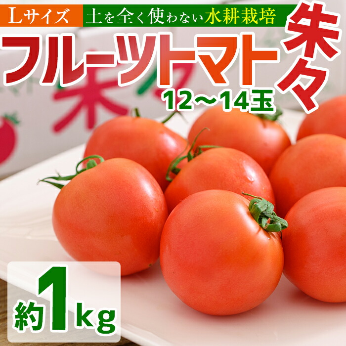 フルーツトマト朱々 Lサイズ 1ｋｇ 12〜14玉 【福袋セール】 1ｋｇ