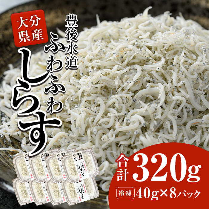 【ふるさと納税】 豊後水道産 ふわふわしらす (合計320g・40g×8袋) 冷凍 白洲 しらす 詰め合わせ 丼ぶり 魚 さかな ご飯 ごはん 炒飯 チャーハン パスタ スパゲティ サラダ 国産 大分県 パック 【CT02】【 (有)高橋商店】|大分県佐伯市