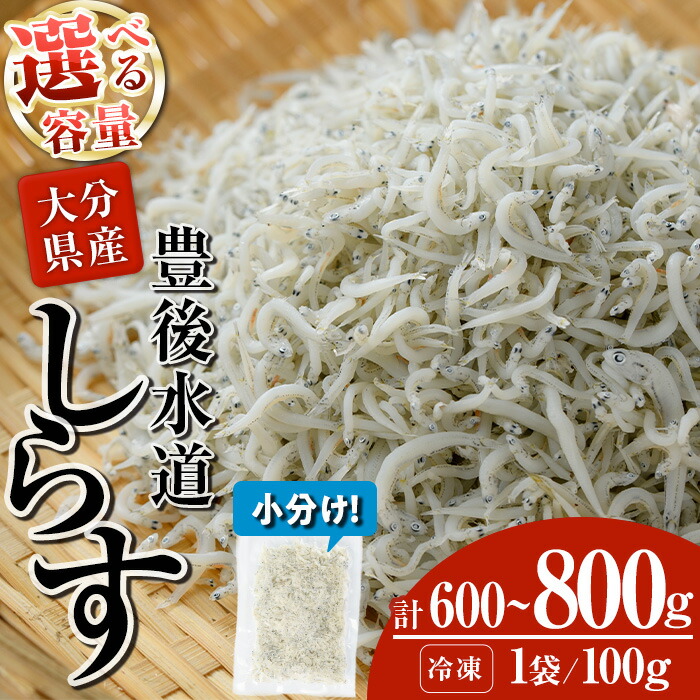 【ふるさと納税】<内容量が選べる> 豊後水道産 しらす (計600g・計800g) 冷凍 しらす しらす丼 丼ぶり 魚 さかな ご飯 ごはん 炒飯 チャーハン パスタ サラダ 国産 大分県 パック 小分け 便利 【CT09・CT08】【 (有)高橋商店】