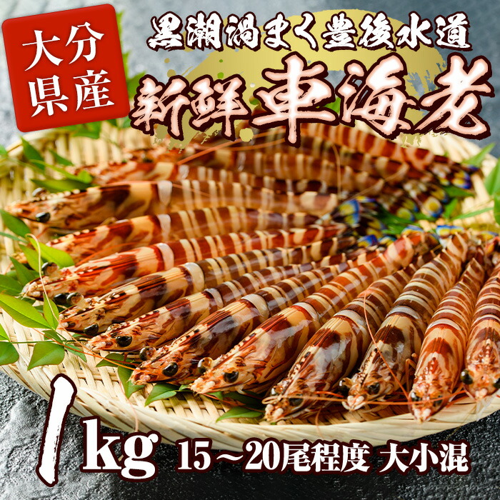 【ふるさと納税】大分県産 新鮮車海老 (約1kg・15-20尾程度)直送 産直 漁師 魚 鮮魚 魚介 天然 車エビ 車海老 くるまえび 獲れたて 刺身 煮つけ フライ 塩焼き 冷蔵 大分県 佐伯市【DA02】【(有)丸直水産】｜大分県佐伯市