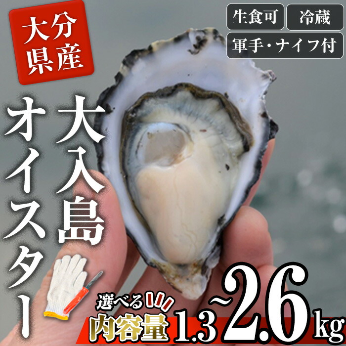 【ふるさと納税】＜内容量が選べる＞ 真ガキ 大入島オイスター (約1.3kg・約2.6kg) 牡蠣 カキ 貝 海鮮 魚介類 冷蔵 生食可 シングルシード 養殖 殻付き 【ED08・ED09】【(合)新栄丸】