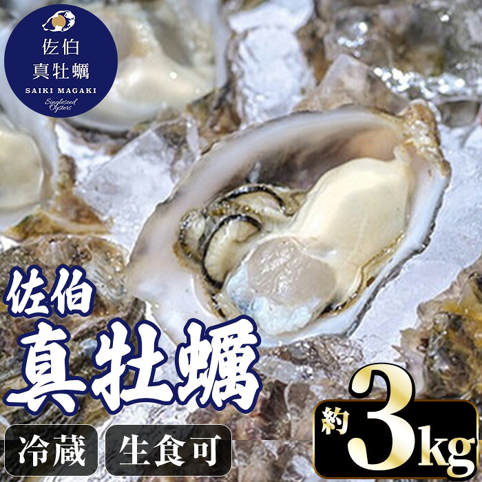 【ふるさと納税】佐伯真牡蠣 鶴見産 (約3kg) 牡蠣 カキ 新鮮 小分け 生牡蠣 生カキ カキフライ 鍋 大分県 佐伯市【生食可】【EW062】【Up】