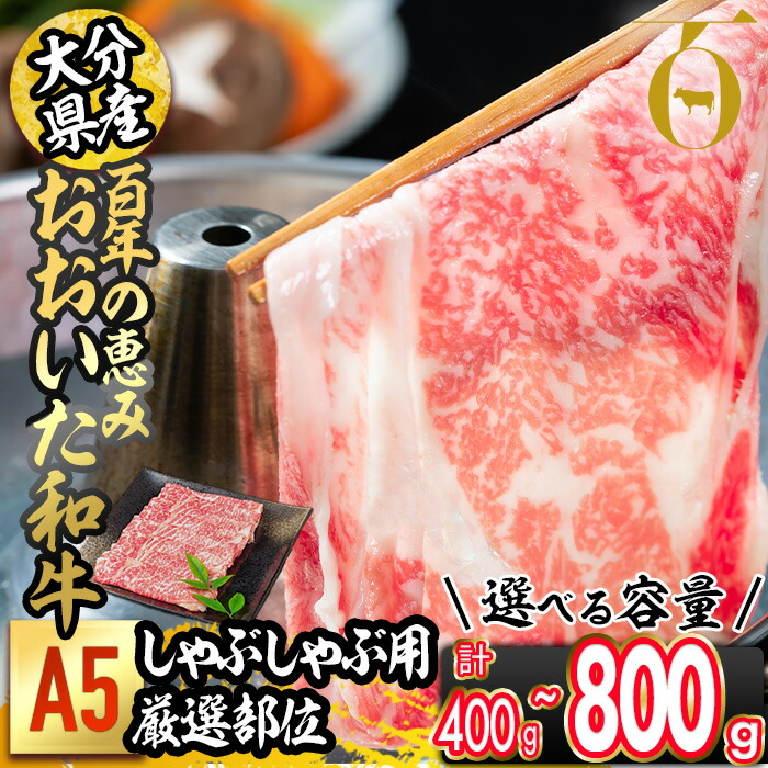 SO-428 袋帯 六通 正絹 箔 紗綾形地紋 華 高級